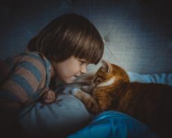 A child and a pet - a tough duo
