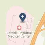 Catskill Regional Medical Center on map