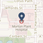 Morton Plant Hospital on map