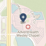 Florida Hospital Wesley Chapel on map