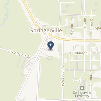 White Mountain Regional Medical Center on map