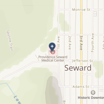 Providence Seward Hospital on map