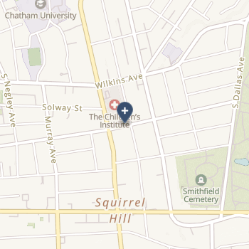 Children's Institute Of Pittsburgh, The on map