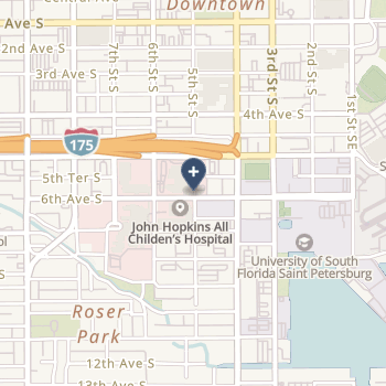 Johns Hopkins All Children's Hospital on map