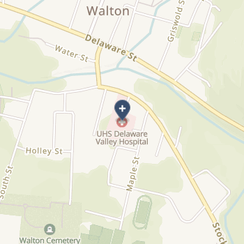 Delaware Valley Hospital, Inc on map