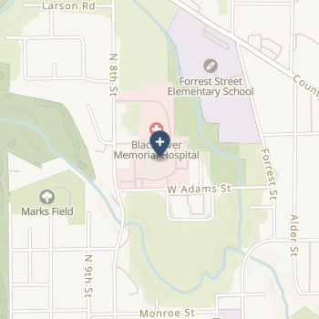 Black River Memorial Hospital on map