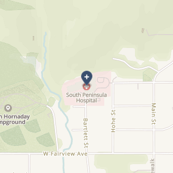 South Peninsula Hospital on map