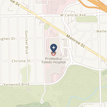 Toledo Hospital The on map