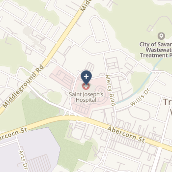 St Joseph's Hospital - Savannah on map