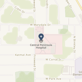 Central Peninsula General Hospital on map