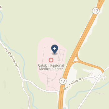 Catskill Regional Medical Center on map