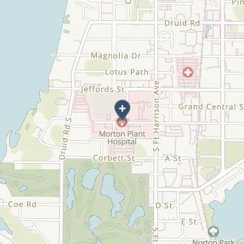 Morton Plant Hospital on map