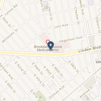 Brookdale Hospital Medical Center on map