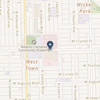 Presence Saints Mary And Elizabeth Medical Center on map