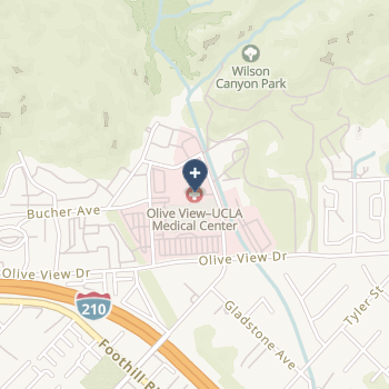 Lac/olive View-Ucla Medical Center on map