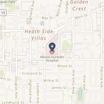 Mease Dunedin Hospital on map