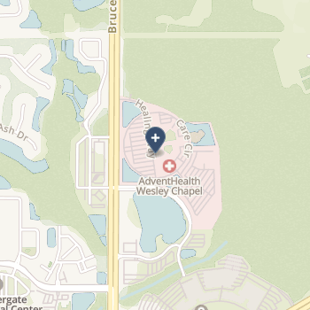 Florida Hospital Wesley Chapel on map
