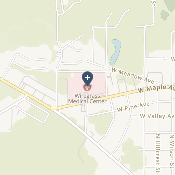 Wiregrass Medical Center on map