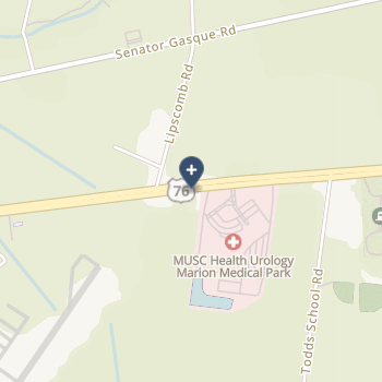 Carolinas Hospital System Marion on map