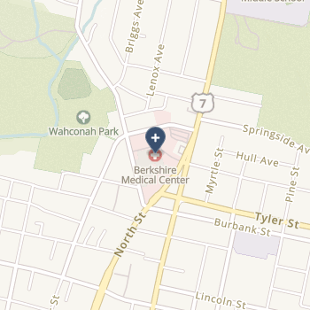 Berkshire Medical Center Inc - 1 on map