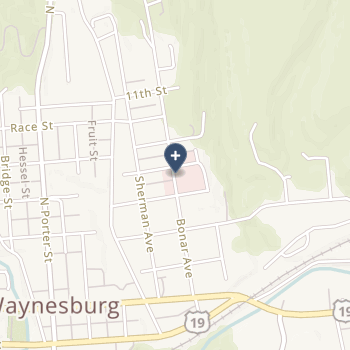 Washington Health System Greene on map