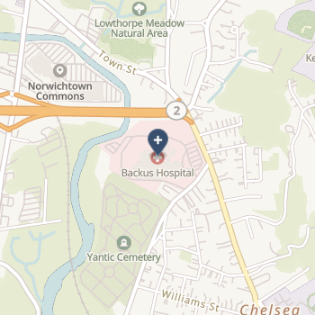 William w Backus Hospital on map