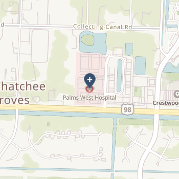 Palms West Hospital on map