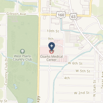 Ozarks Medical Center on map