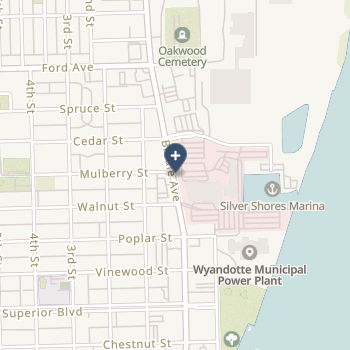 Henry Ford Wyandotte Hospital on map