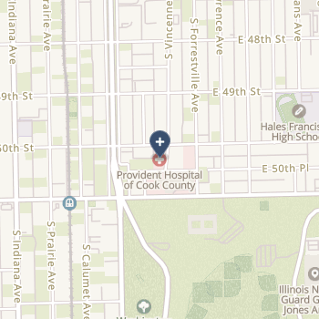 Provident Hospital Of Chicago on map