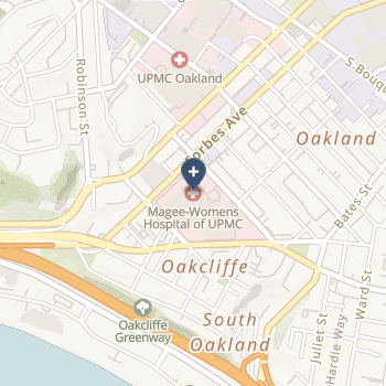 Magee Womens Hospital Of Upmc Health System on map